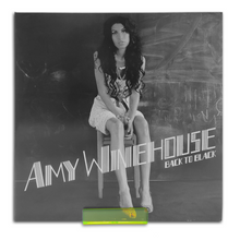 Afbeelding in Gallery-weergave laden, Plexiglas Acryl Platenhouder LP Vinyl Plank - MINI - 6 Stuks