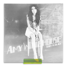 Afbeelding in Gallery-weergave laden, Plexiglas Acryl Platenhouder LP Vinyl Plank - MINI - 6 Stuks