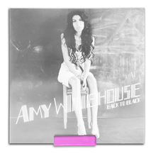 Afbeelding in Gallery-weergave laden, Plexiglas Acryl Platenhouder LP Vinyl Plank - MINI - 6 Stuks